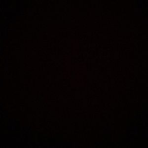 Meet your Posher, Berny